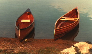 Teal & Widgeon